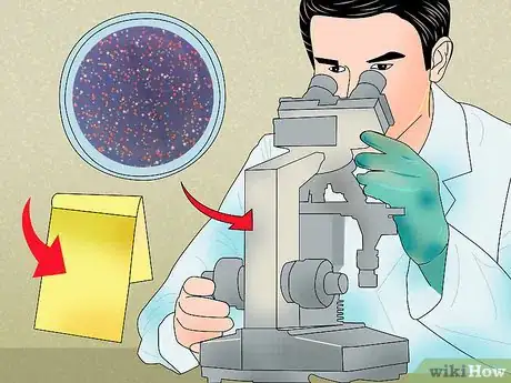 Imagen titulada Measure Bacterial Growth Step 4