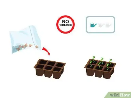 Imagen titulada Start a Bonsai Tree Step 14