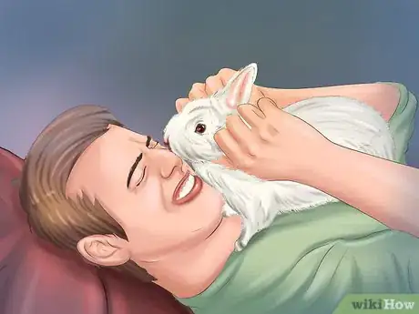 Imagen titulada Make Your Rabbit Like You Step 3