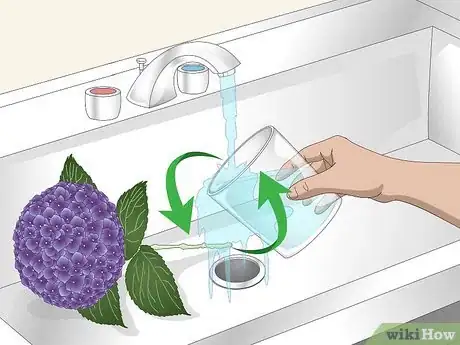 Imagen titulada Keep Hydrangeas Alive Step 5