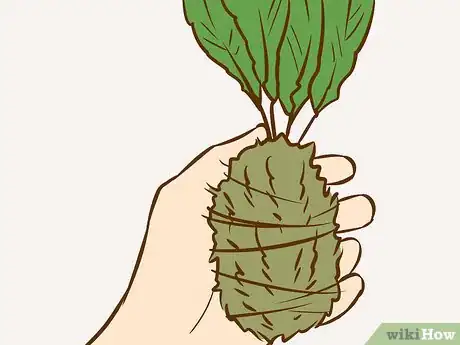 Imagen titulada Make a Kokedama Step 5