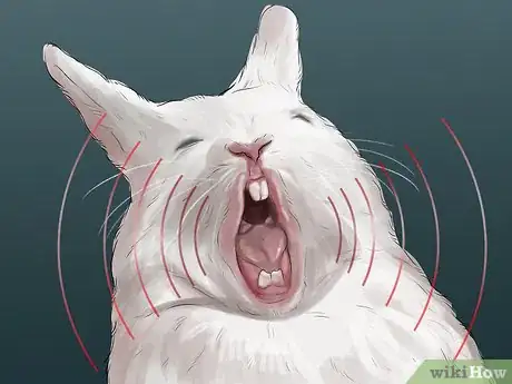 Imagen titulada Tell if Your Rabbit Is in Pain Step 6