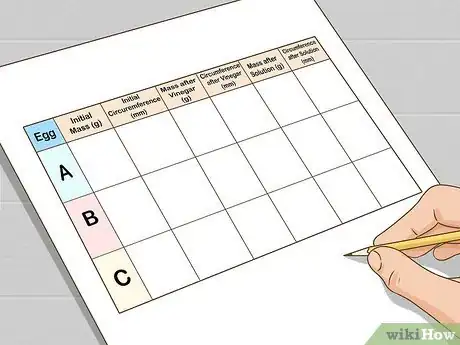 Imagen titulada Understand Osmosis with Eggs Step 16