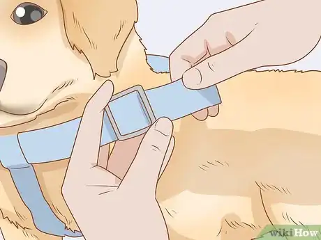 Imagen titulada Put on a Dog Harness Step 6