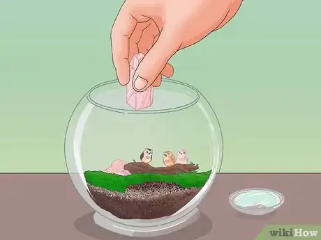 Imagen titulada Make Moss Terrariums Step 12