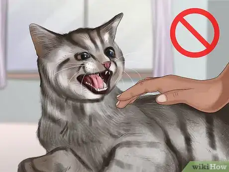 Imagen titulada Stop an Aggressive Cat Step 5