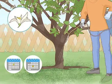 Imagen titulada Identify Lemon Tree Diseases Step 14