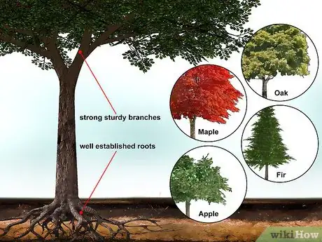 Imagen titulada Build a Treehouse Step 1