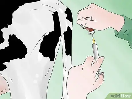 Imagen titulada Keep a Milking Cow Step 3