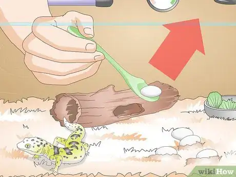 Imagen titulada Care for a Leopard Gecko Egg Step 5