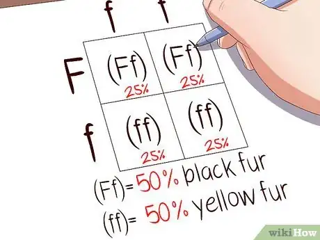 Imagen titulada Make a Punnett Square Step 8