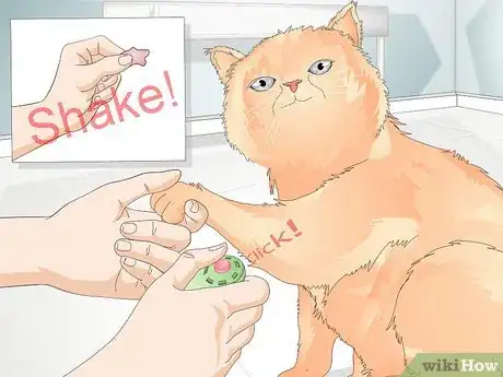 Imagen titulada Teach Your Cat to Give a Handshake Step 9