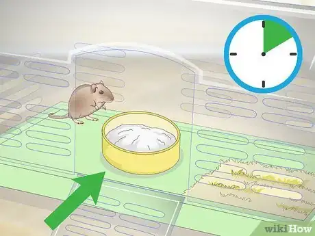 Imagen titulada Give a Gerbil a Sand Bath Step 4