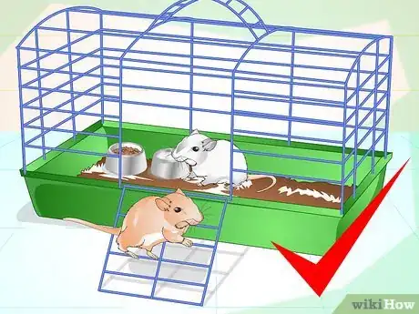 Imagen titulada Tame Your Gerbils Step 4