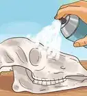 preservar un cráneo