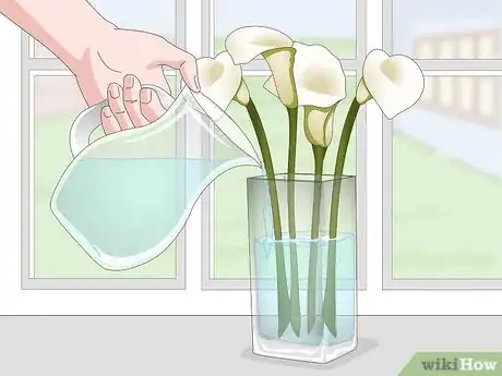 Imagen titulada Keep Cut Calla Lilies Fresh Step 8