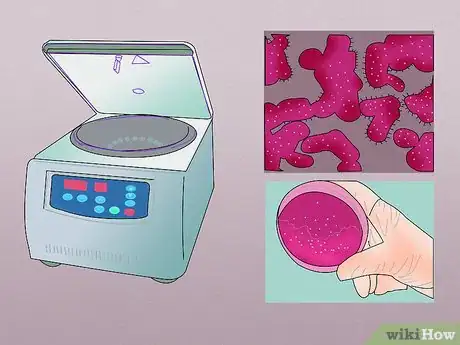 Imagen titulada Measure Bacterial Growth Step 9