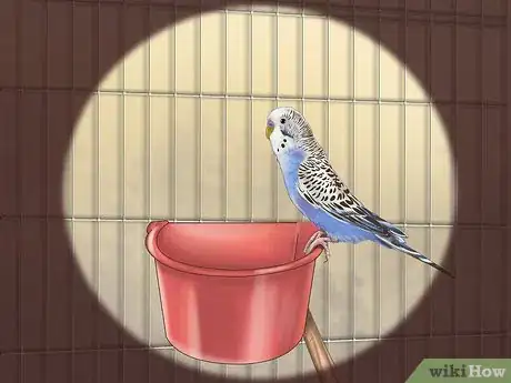 Imagen titulada Choose a Good Budgie Step 4