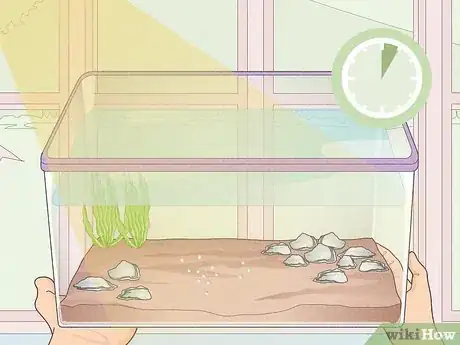 Imagen titulada Care for Frog Eggs Step 9