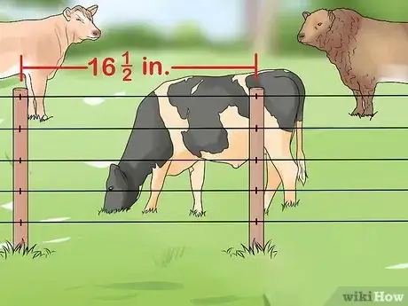 Imagen titulada Start a Cattle Farm Step 19