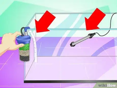 Imagen titulada Set up a Cichlid Tank Step 5