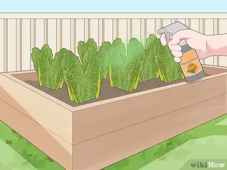 Imagen titulada Keep Rats Out of a Vegetable Garden Step 7