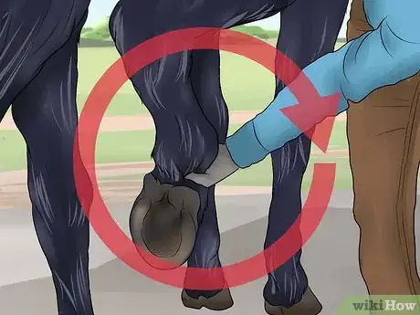 Imagen titulada Pick a Horse Hoof Step 14