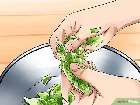 Imagen titulada Make Eucalyptus Oil Step 4