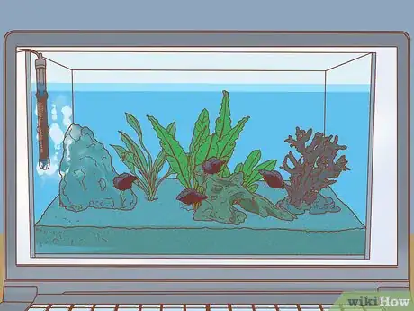 Imagen titulada Know How Many Fish You Can Place in a Fish Tank Step 7