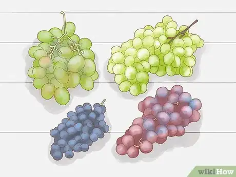 Imagen titulada Grow Grapes from Seeds Step 1