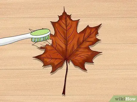 Imagen titulada Dry Leaves Step 21