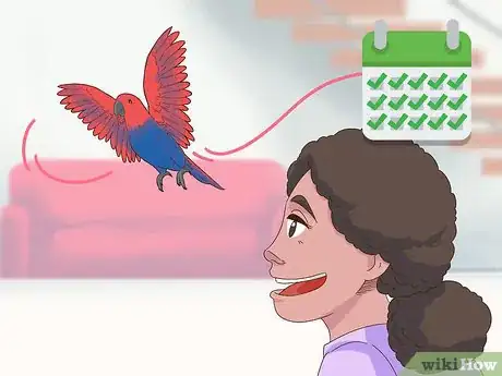 Imagen titulada Know if an Eclectus Is Right for You Step 6