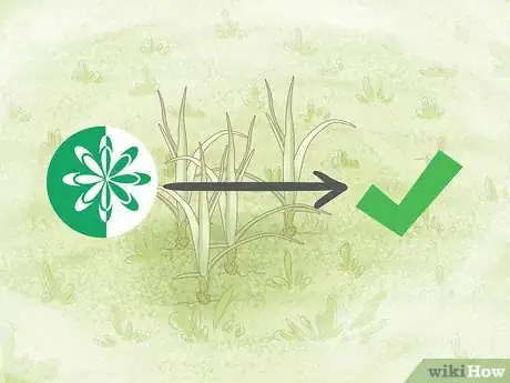 Imagen titulada Get Rid of Nutgrass Step 10