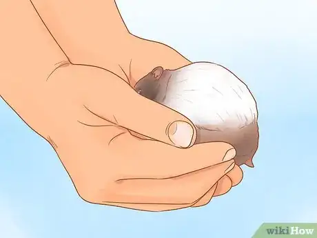 Imagen titulada Pick up a Hamster for the First Time Step 13