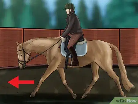 Imagen titulada Get Your Horse to Work on the Bit Step 12