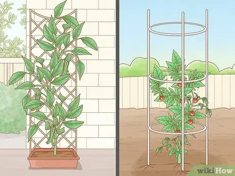 Imagen titulada Grow Vegetables Vertically Step 6