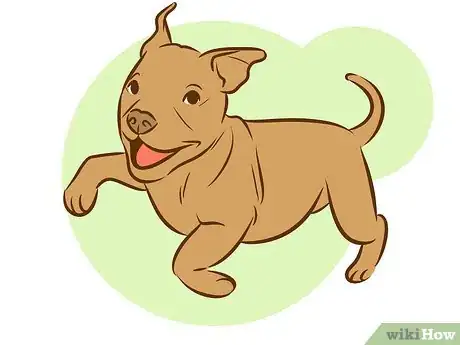 Imagen titulada Train a Pitbull Puppy Step 8