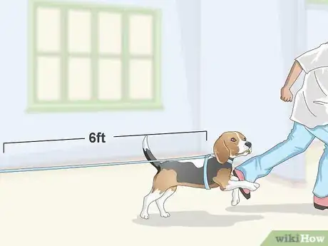 Imagen titulada Train Your Beagle Step 10