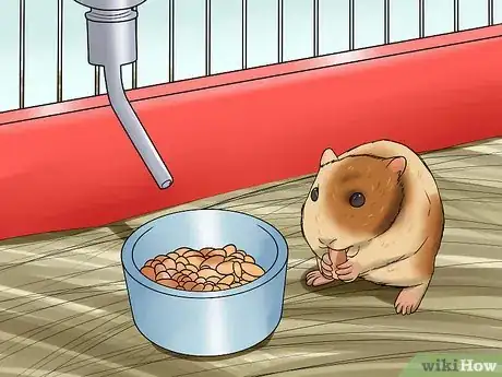 Imagen titulada Diagnose and Treat a Dehydrated Hamster Step 8