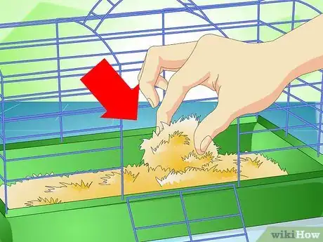 Imagen titulada Deodorize a Hamster Cage Step 6