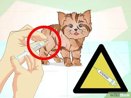 Imagen titulada Get a Sick Kitten to Eat Step 23