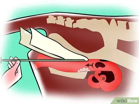 Imagen titulada Artificially Inseminate Cows and Heifers Step 19