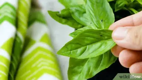 Imagen titulada Store Fresh Basil Step 20