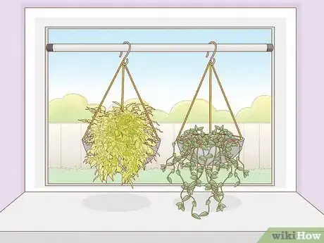 Imagen titulada Hang Plants from a Wall Step 14