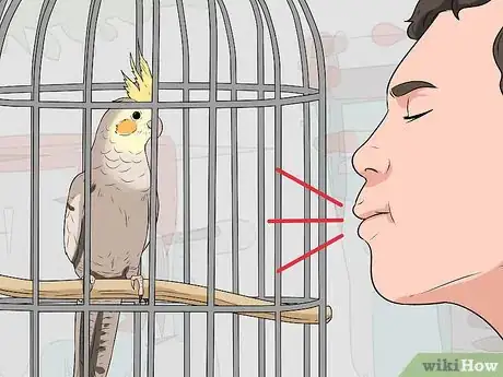 Imagen titulada Handle a Cockatiel Step 5