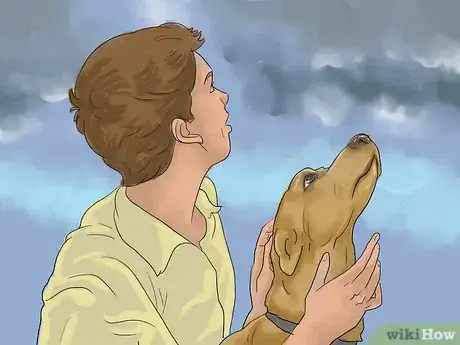 Imagen titulada Calm a Dog During Thunderstorms Step 12