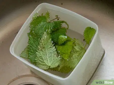 Imagen titulada Make Nettle Tea Step 7