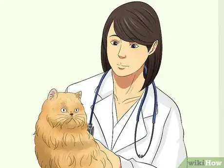 Imagen titulada Prevent Matted Cat Hair Step 15