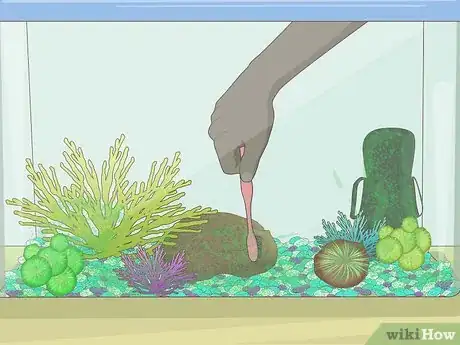 Imagen titulada Clean a Fish Tank Step 16