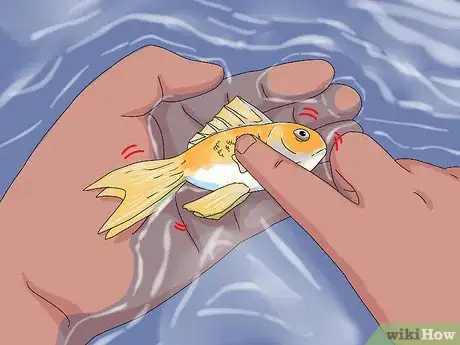 Imagen titulada Tell if Your Fish Is Dead Step 4